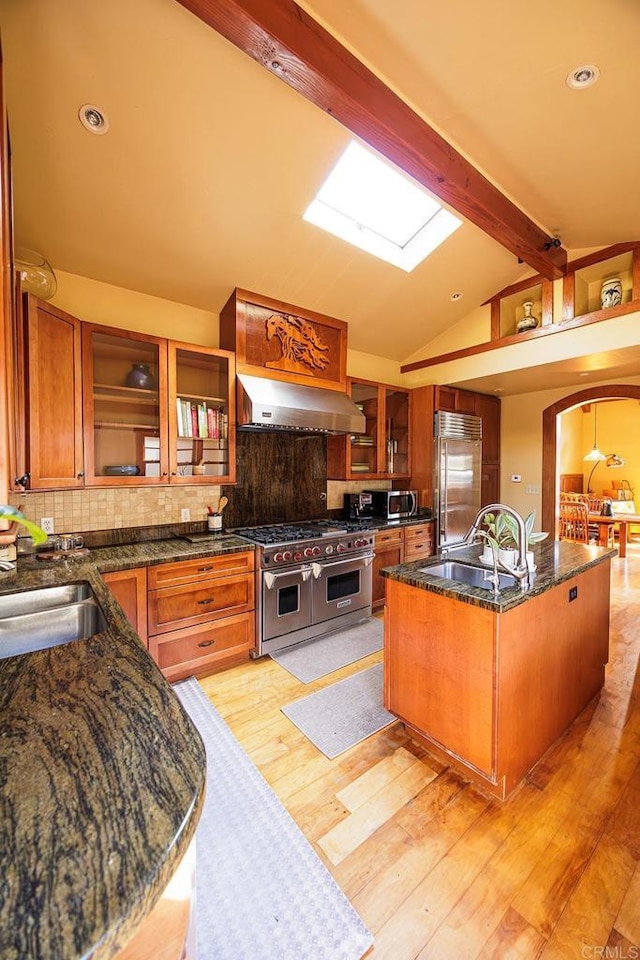 kitchen featuring premium appliances, a sink, under cabinet range hood, lofted ceiling with skylight, and light wood-type flooring