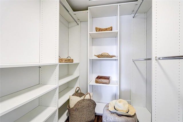 view of walk in closet