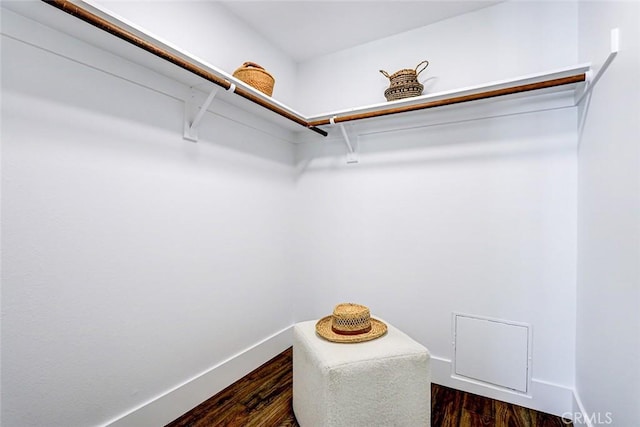 walk in closet featuring dark wood-type flooring