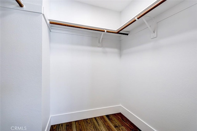 spacious closet with dark wood finished floors