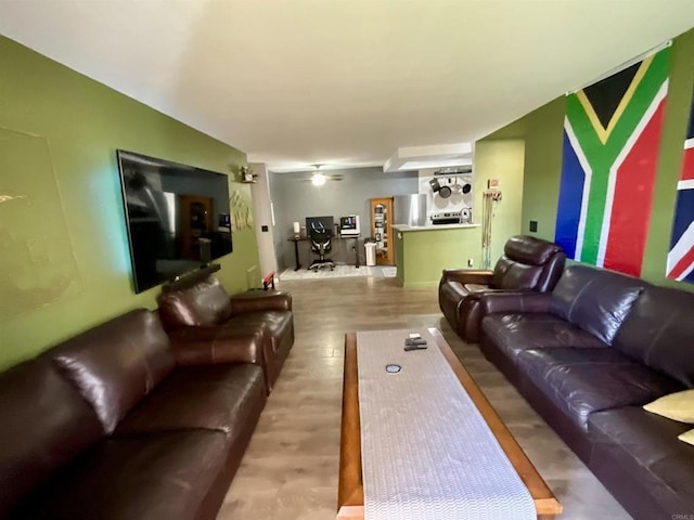 living room featuring wood finished floors