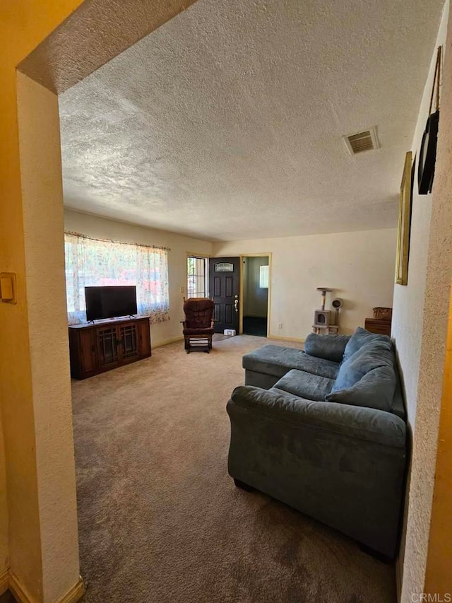 44600 Brawley Ave, Jacumba, CA 91934 - living area with a textured ceiling and carpet flooring