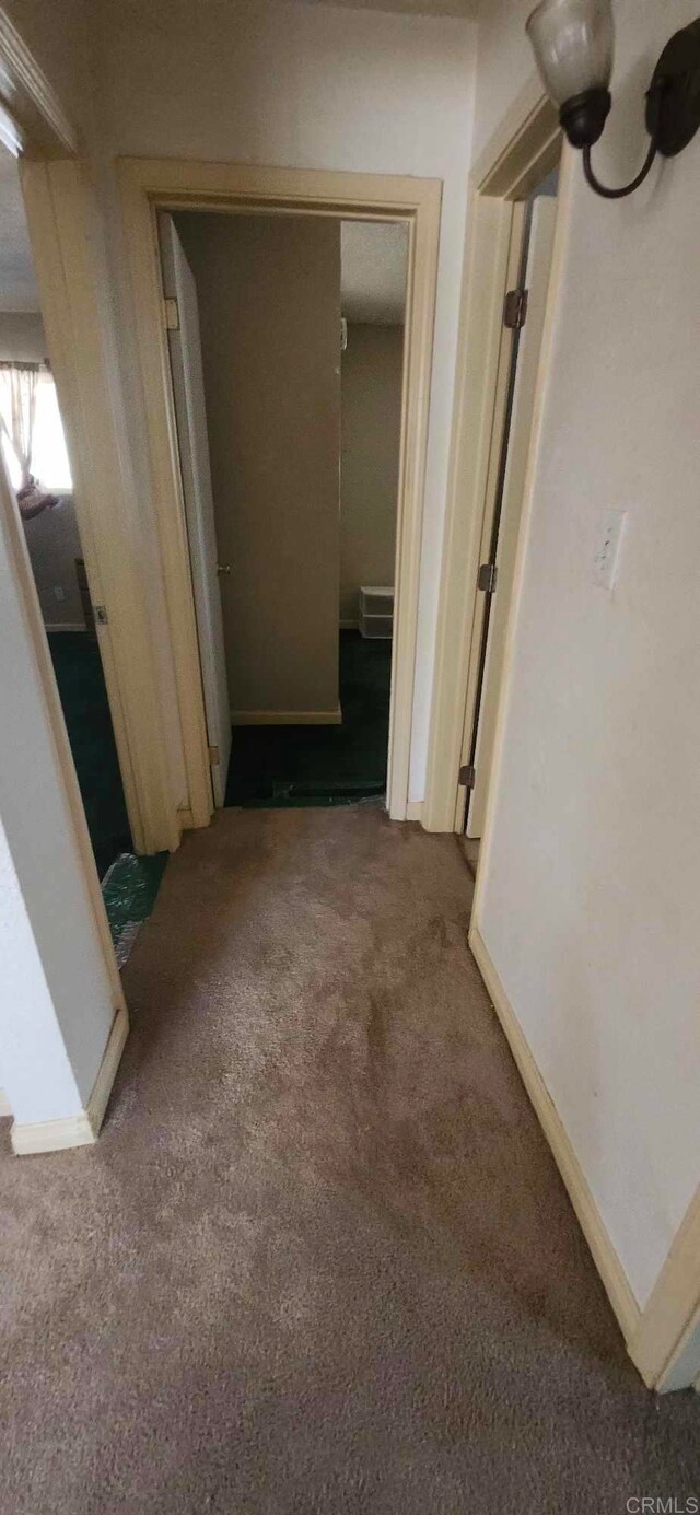 44600 Brawley Ave, Jacumba, CA 91934 - corridor featuring carpet floors and baseboards