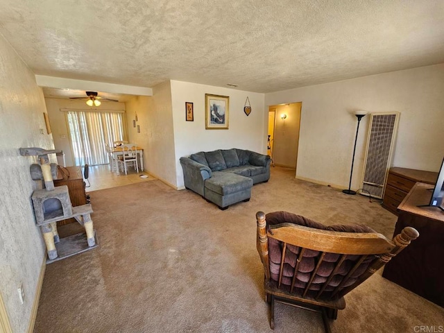 44600 Brawley Ave, Jacumba, CA 91934 - living room featuring a heating unit, carpet, baseboards, and a textured ceiling