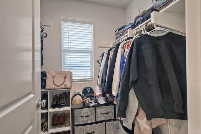 view of spacious closet