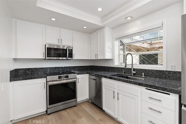 kitchen with white cabinetry, a sink, appliances with stainless steel finishes, a raised ceiling, and ornamental molding