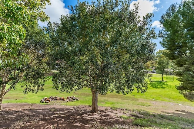 view of community with a lawn