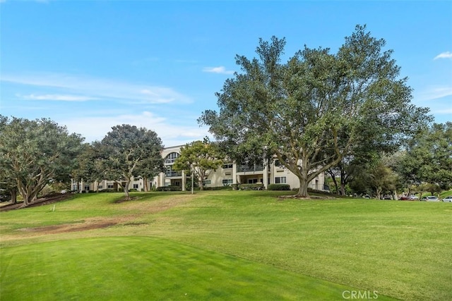 view of community featuring a lawn