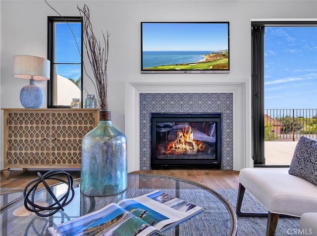 living area featuring a glass covered fireplace and wood finished floors