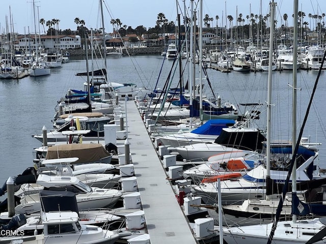 dock area with a water view