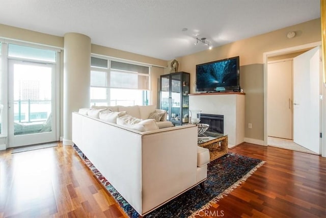 living area with a glass covered fireplace and wood finished floors