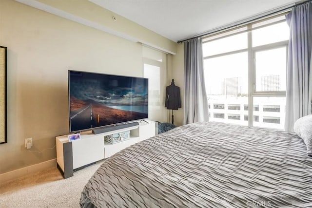 bedroom with baseboards and carpet floors