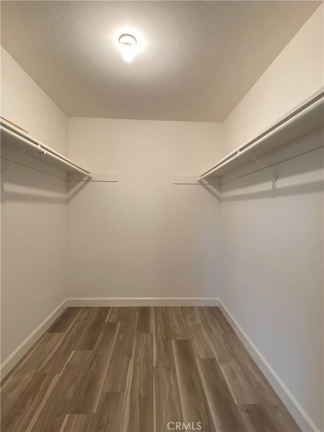 spacious closet featuring dark wood-style floors