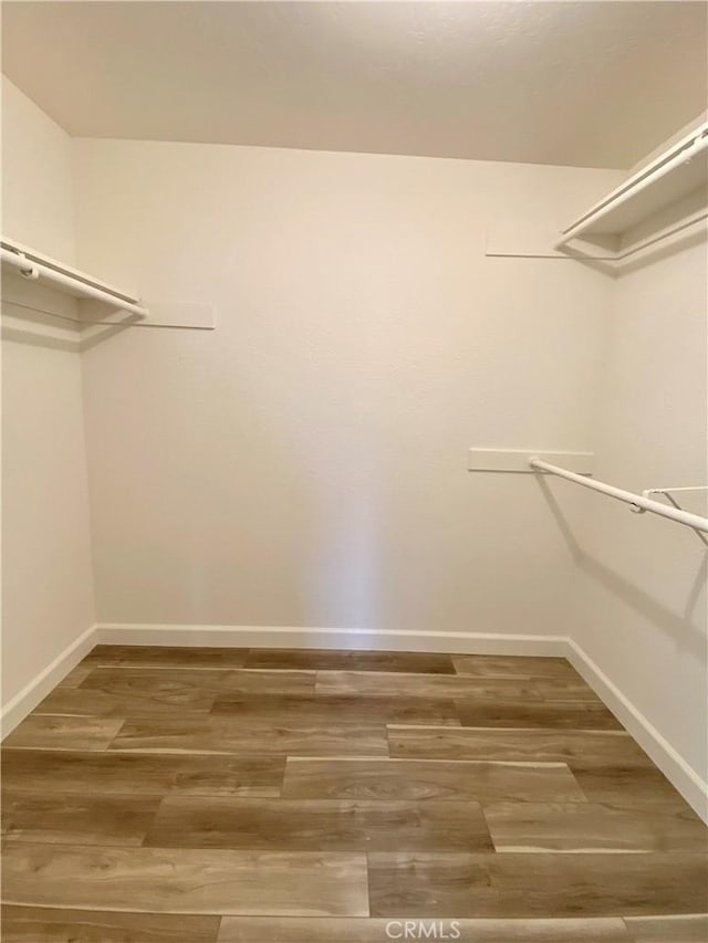 walk in closet featuring wood finished floors