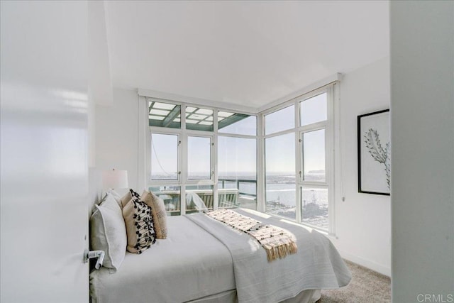 bedroom featuring baseboards, a water view, and carpet floors
