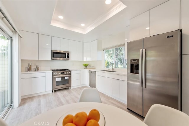 kitchen with appliances with stainless steel finishes, modern cabinets, a sink, light wood-style floors, and ornamental molding