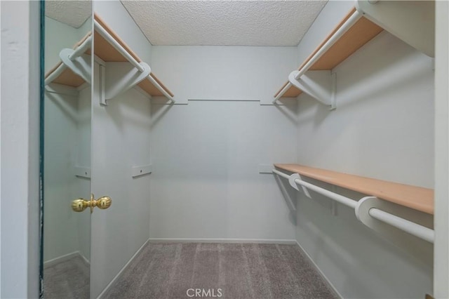 355 S Los Robles Ave Unit 310, Pasadena, CA 91101 - walk in closet with carpet floors