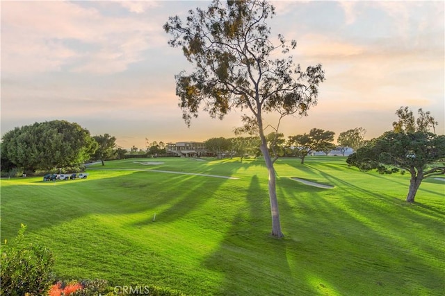 view of community featuring a lawn and view of golf course