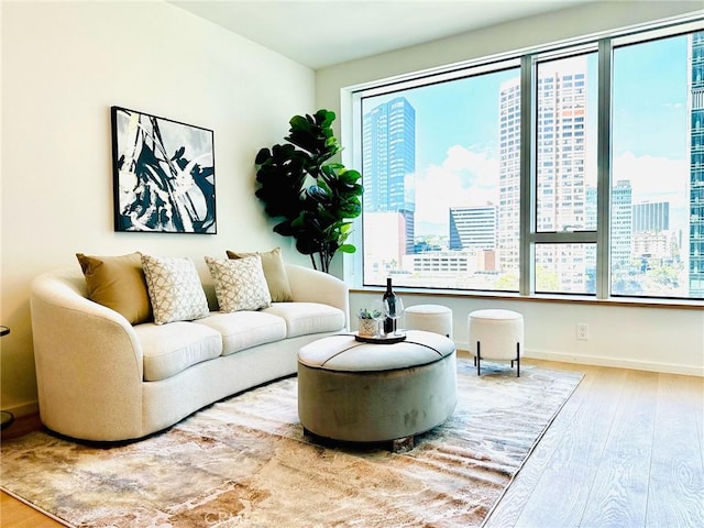 living room featuring baseboards, a view of city, and wood-type flooring