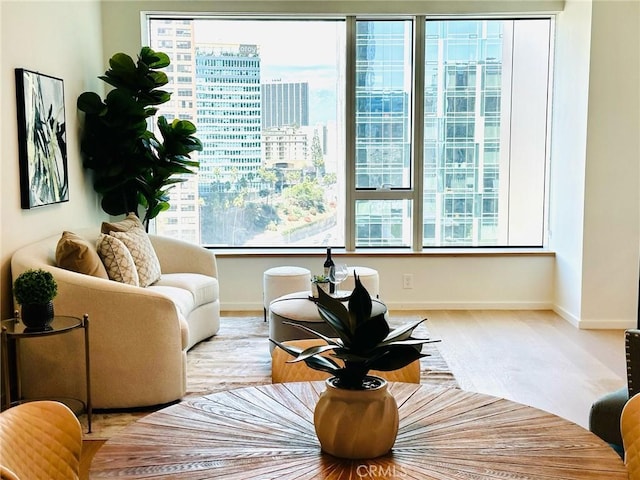 living area with a view of city, wood finished floors, and baseboards