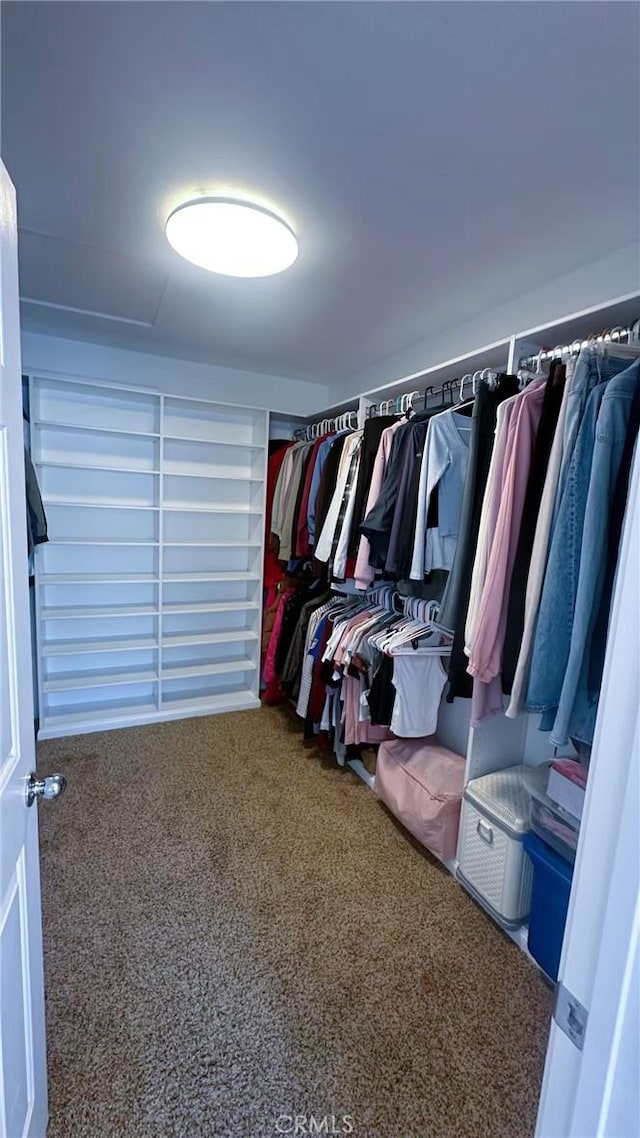 spacious closet featuring carpet