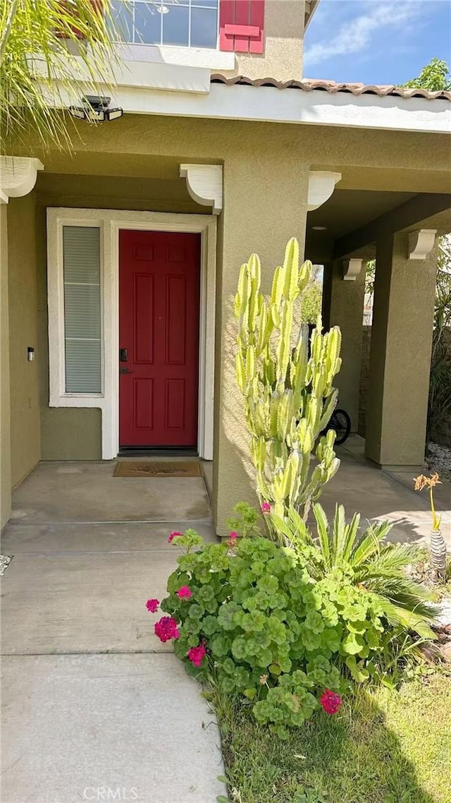 doorway to property featuring stucco siding