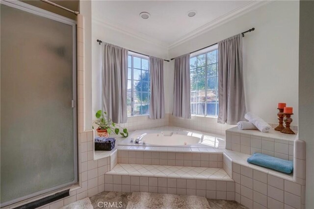 39100 Saddle Ridge Rd, Hemet, CA 92543 - full bathroom featuring a bath, a stall shower, and crown molding