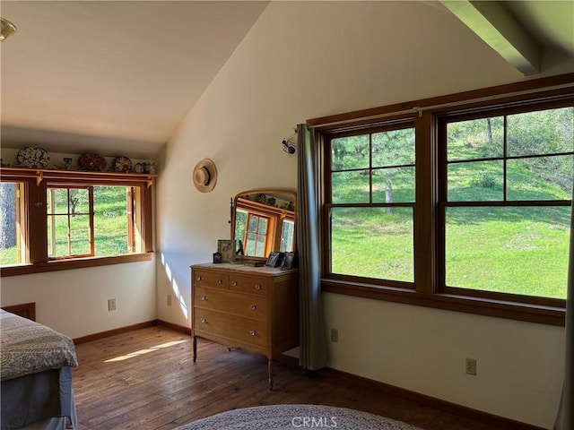 bedroom with vaulted ceiling, multiple windows, and hardwood / wood-style floors