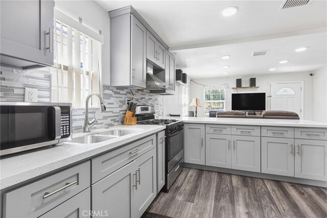 24412 Eucalyptus Ave, Moreno Valley, CA 92553 - kitchen featuring appliances with stainless steel finishes, gray cabinets, a sink, a peninsula, and ventilation hood