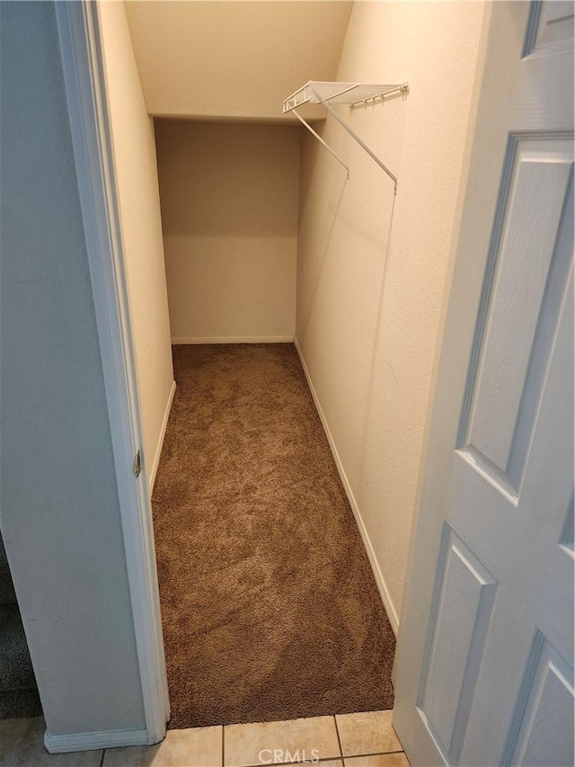 spacious closet with carpet