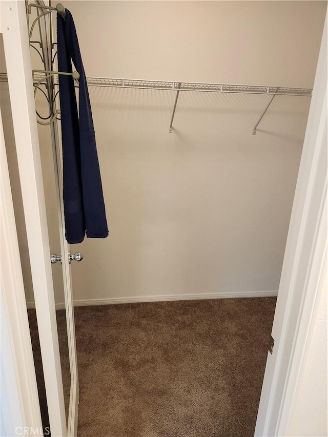walk in closet with carpet