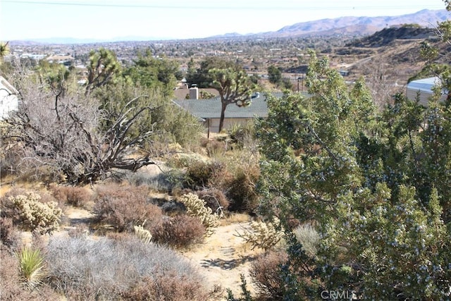 7615 Ventura Ave, Yucca Valley, CA 92284 - photo 9