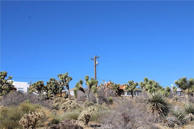 7615 Ventura Ave, Yucca Valley, CA 92284 - photo 13