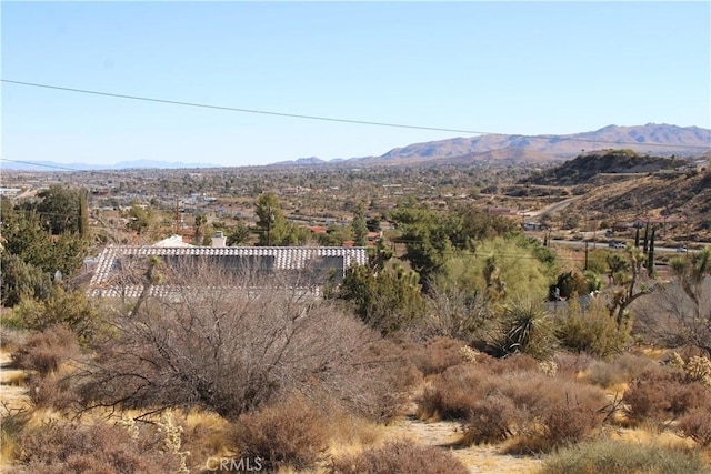 7615 Ventura Ave, Yucca Valley, CA 92284 - photo 2
