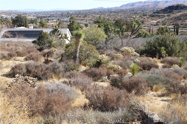 7615 Ventura Ave, Yucca Valley, CA 92284 - photo 12