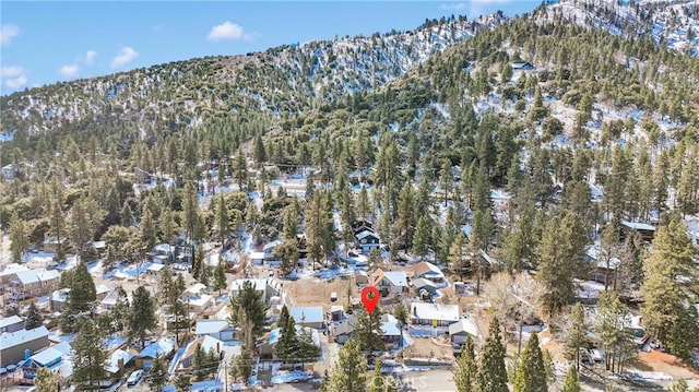 2329 E Canyon Dr, Wrightwood, CA 92397 - photo 37