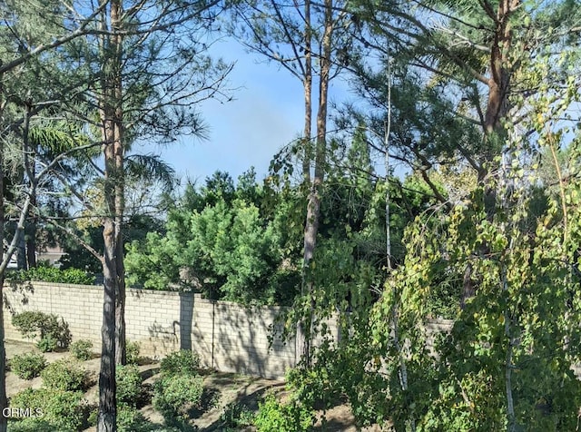 view of nature