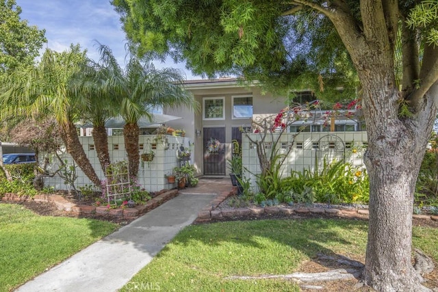 view of front of house with a front lawn and stucco siding