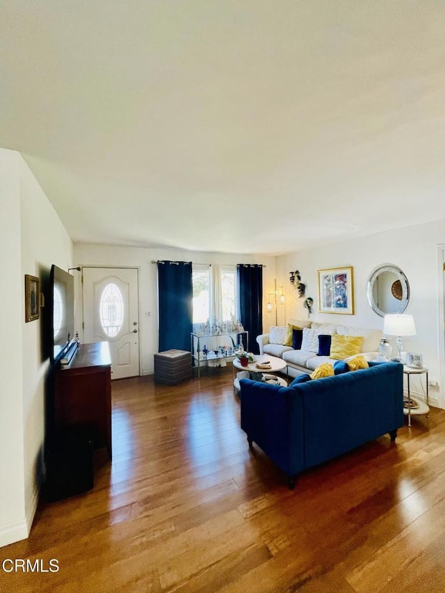 living room featuring wood finished floors