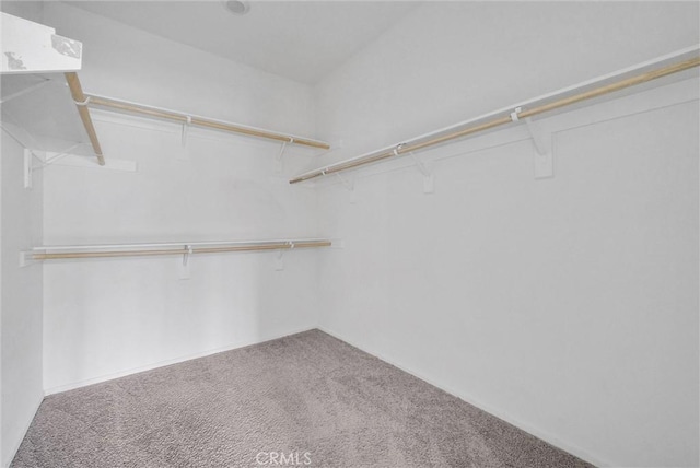 222 Garden Air Ct, Calimesa, CA 92320 - spacious closet with carpet