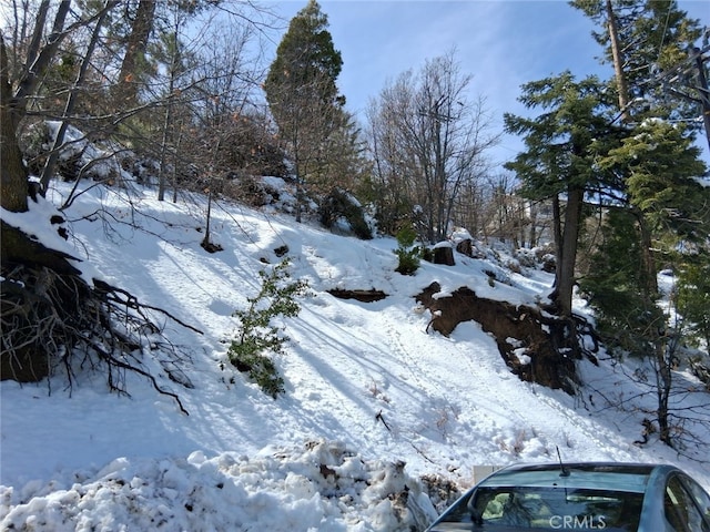 29602 Hook Creek Rd, Cedar Glen, CA 92321