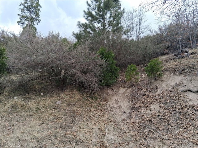29602 Hook Creek Rd, Cedar Glen, CA 92321