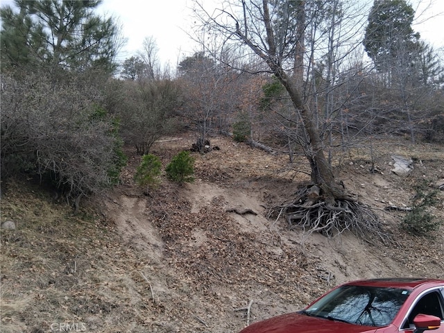29602 Hook Creek Rd, Cedar Glen, CA 92321