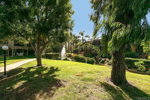 view of property's community featuring a yard