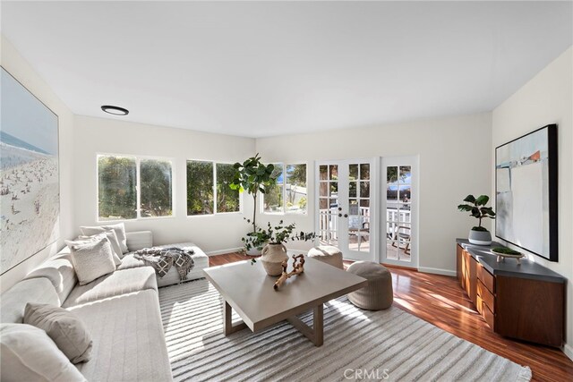 2120 Ocean Way, Laguna Beach, CA 92651 - living area with plenty of natural light, french doors, dark wood-type flooring, and baseboards