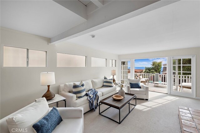 2120 Ocean Way, Laguna Beach, CA 92651 - living area featuring light carpet and beam ceiling