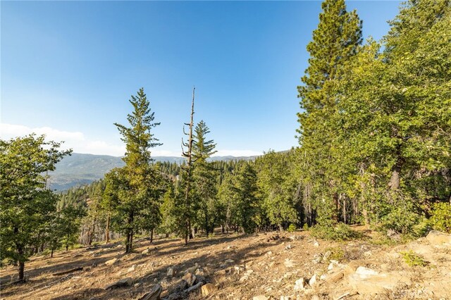 7373 Henness Ridge Rd, Yosemite, CA 95389