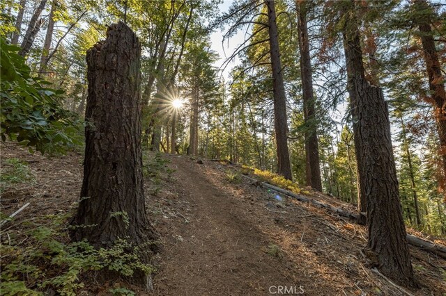 7373 Henness Ridge Rd, Yosemite, CA 95389