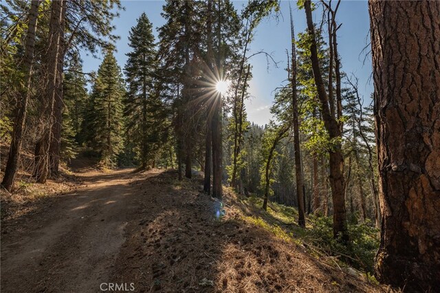 7373 Henness Ridge Rd, Yosemite, CA 95389