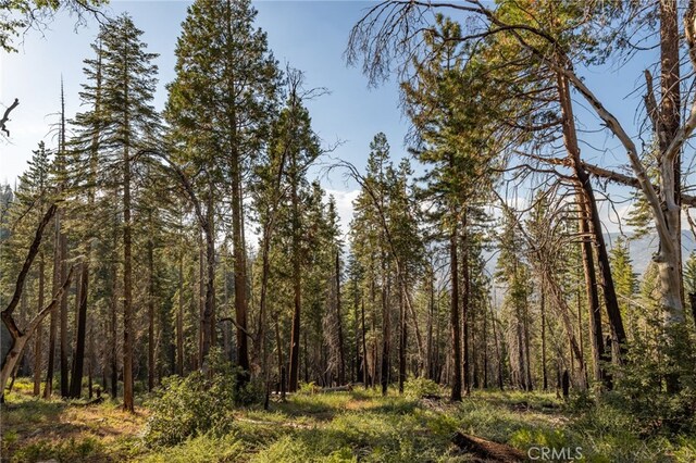 7373 Henness Ridge Rd, Yosemite, CA 95389
